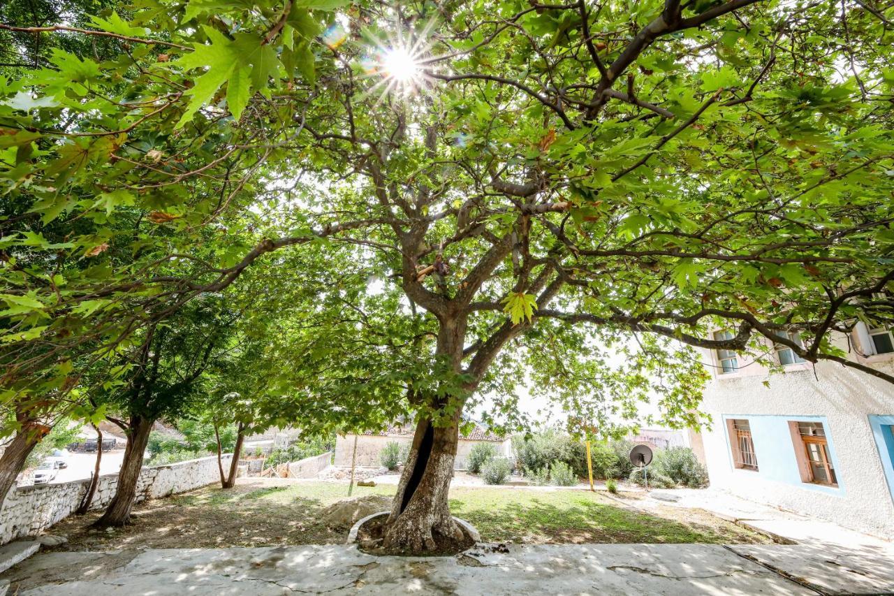 Vila Leon - Old Qeparo - 6 People Εξωτερικό φωτογραφία